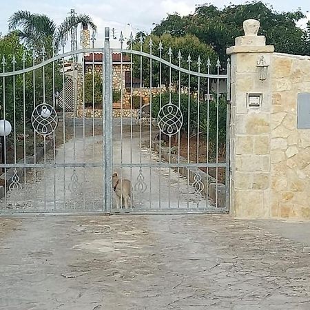 Casetta Albizia San Vito dei Normanni Bagian luar foto
