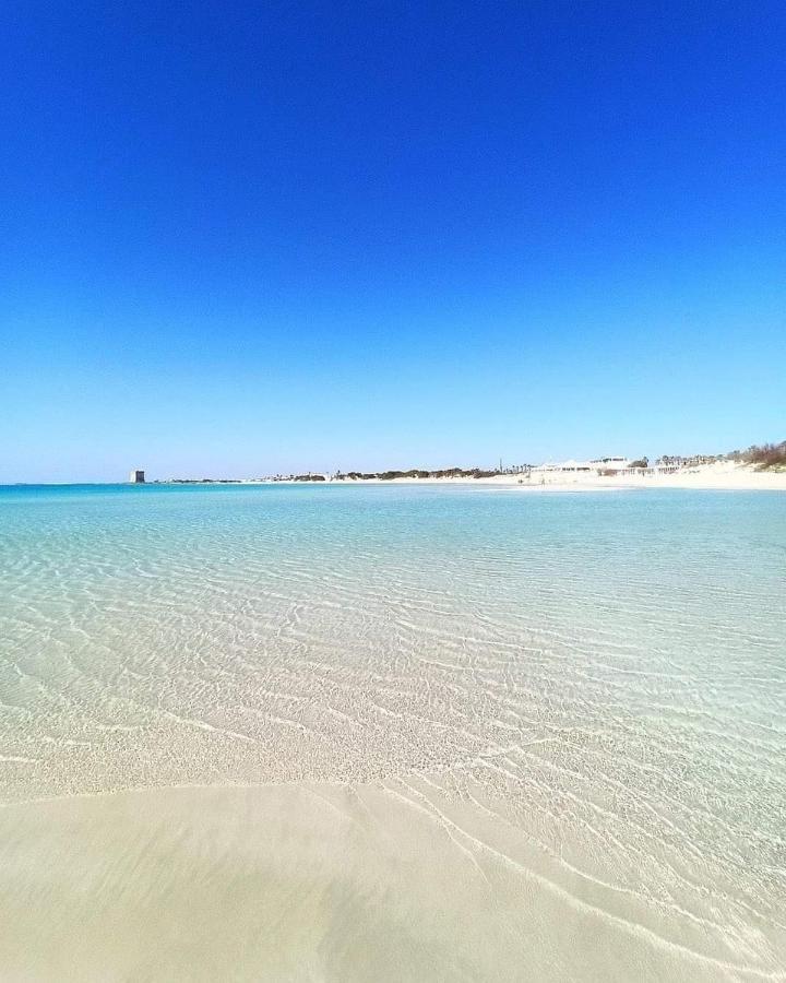 Casetta Albizia San Vito dei Normanni Bagian luar foto
